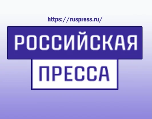 Самосборный гигиенический набор «КРЕКС-ПЕКС» для кошек из ламинированного картона: проверили в домашних условиях